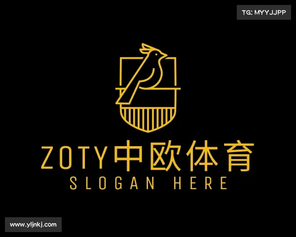 关于zoty中欧体育